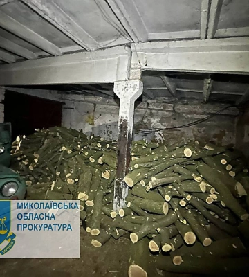 На Миколаївщині затримали поліцейського та його спільників за незаконну вирубку лісу