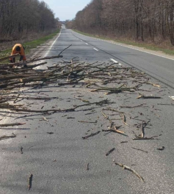 Повалені дорожні знаки, дерева, рекламні щити: буревій наробив шкоди на Тернопільщині 