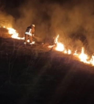 ЗСУ ліквідували ще 780 окупантів за добу