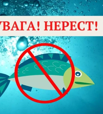1 квітня розпочинається нерестова заборона на вилов риби