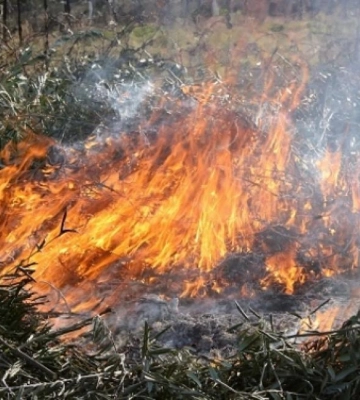 Впродовж минулої доби рятувальники Рівненщини ліквідували 8 пожеж на відкритих територіях