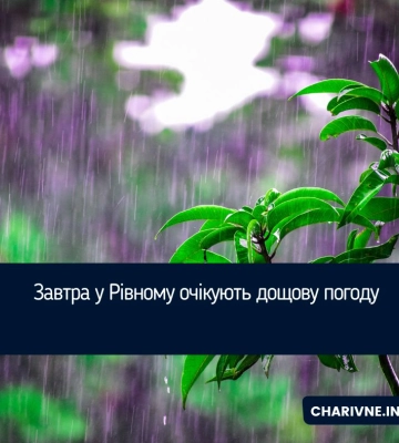 На Рівненщині очікується дощова й вітряна погода