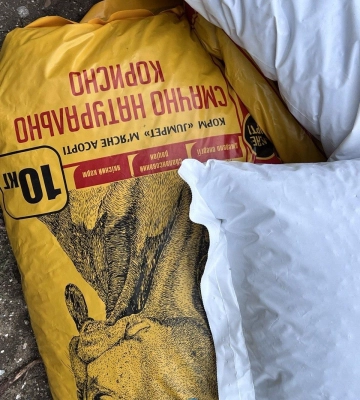 Життя всупереч: як виживають собаки та кішки на «курортах» Одеської області (фоторепортаж)