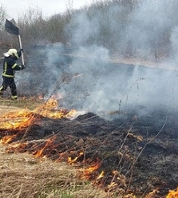 У Луцькому районі горів сухостій – гасили підручними засобами 