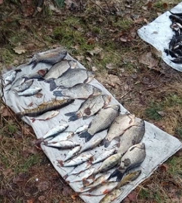 У нацпарку на Волині чоловік під час нересту наловив сітками рибу на 120 тисяч 