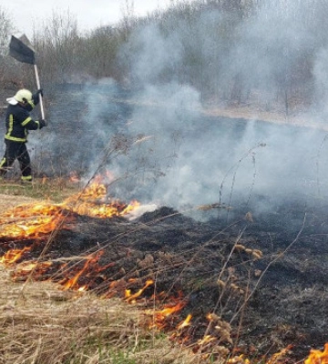 У Луцькому районі горів сухостій – гасили підручними засобами 