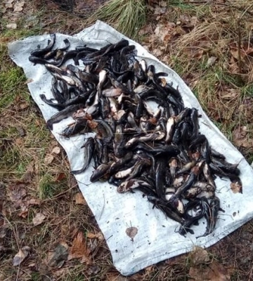 Збитків на 120 тис. грн: у Шацькому нацпарку спіймали рибалку-браконьєра