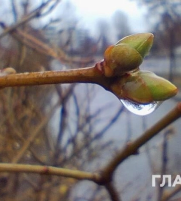 Дощі, подекуди сильний вітер: прогноз погоди на 29 березня