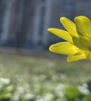 У Полтаві сьогодні дощитиме, але буде тепло