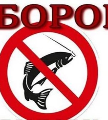 В Одеській області вводять заборону на вилов риби