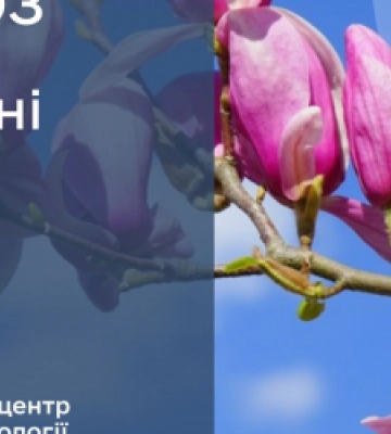Якою буде погода у Львові в останній день березня