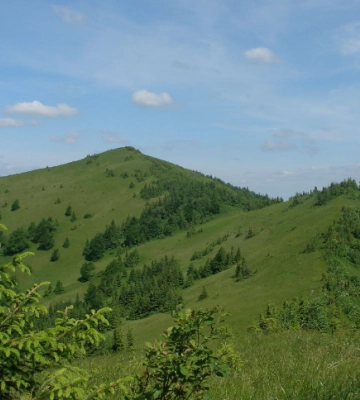 Дві харків'янки заблукали в горах на Львівщині