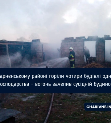 У селі на Сарненщині горіли відразу 4 будівлі одного домогосподарства (ФОТО)