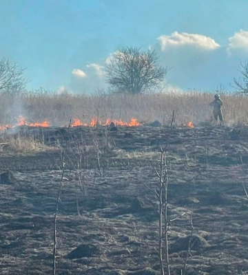 3,6 га сухої трави згоріло за добу на Рівненщині