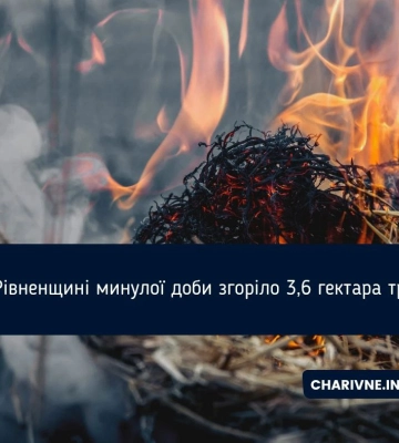 3,6 га сухої трави згоріло за добу на Рівненщині