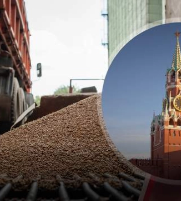 &quot;Это стало самым большим шоком&quot;: как и куда Россия вывозит украденное украинское зерно