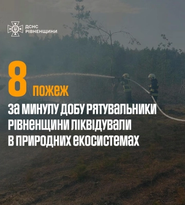 3,6 га сухої трави згоріло за добу на Рівненщині