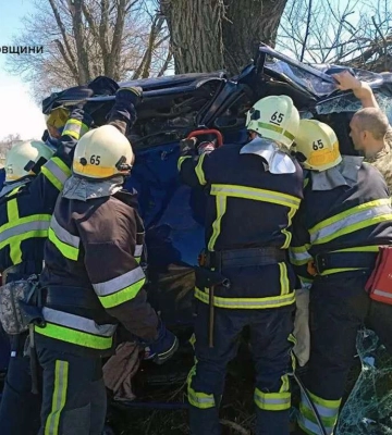У Кам’янському районі &quot;Toyota&quot; злетіла з траси в кювет: постраждала водійка