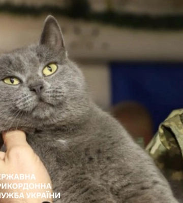 "Загадочная личность": донецкие пограничники рассказали о своем "талисмане" 