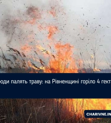 Чому в обласному центрі Волині йшов великий дим на вулиці Ковельській
