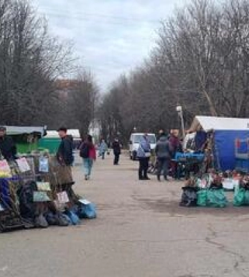 У Полтаві стартував розпродаж рослин для дачників
