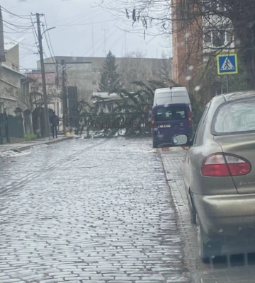 У Чернівцях лютує шквальний вітер