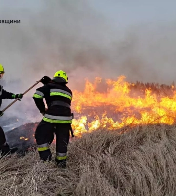 За добу на Дніпропетровщині згоріло понад 60 га екосистем