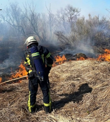 На Кіровоградщині вигоріло більше 13 гектарів землі