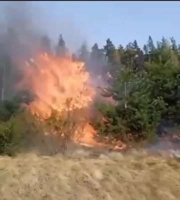 Впродовж вихідних рятувальники ліквідували 65  пожеж в екосистемах, одна з них – лісової підстилки площею 1500 м.кв