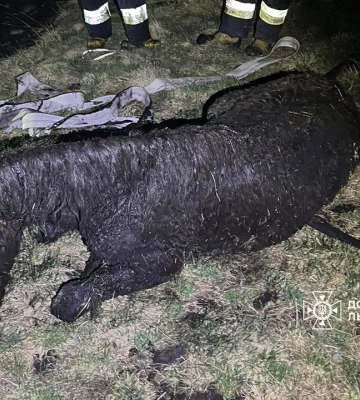 Біля Львова на дачі згорів чоловік