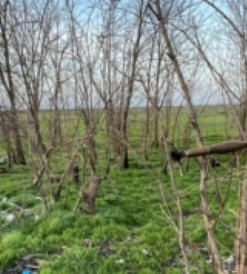 Загроза для людей: на Миколаївщині вибухотехніки знищили російську гранату