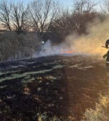Масштабну пожежу у Горішніх Плавнях 9 годин гасили 40 рятувальників