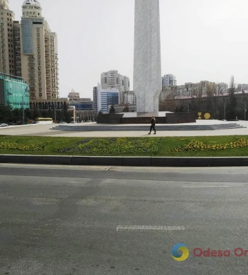 В Одесі почали висаджувати весняні квіти 