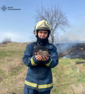 Маленького ежика спасли от смерти в огне харьковские пожарные