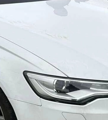 Львівські митники вилучили шість авто, ввезених з-за кордону за підробленими документами