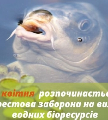На Миколаївщині розпочинається заборона на вилов водних біоресурсів