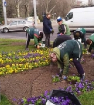 Площу Десятого квітня в Одесі прикрасили перші весняні квіти