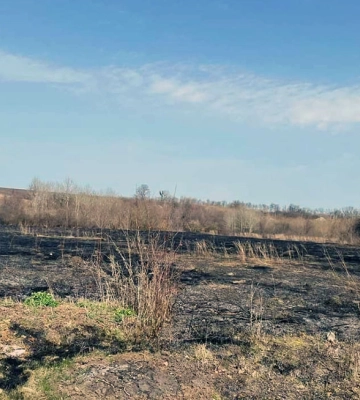 На Харківщині через випалювання трави загинула жінка