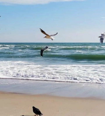 Мінлива хмарність та до +26°: якою буде погода в Одесі та області завтра
