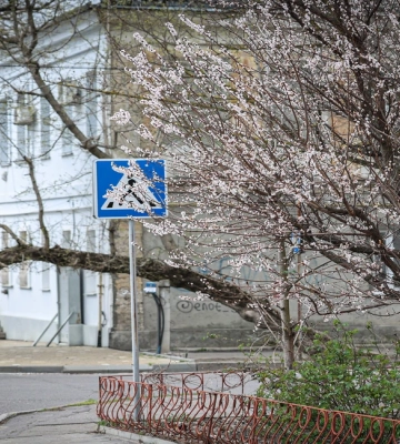 До України дійшла хмара пилу із Сахари: які наслідки для клімату Херсонщини