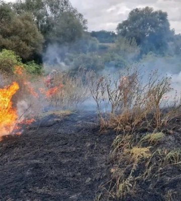 На Харківщині через випалювання трави загинула жінка