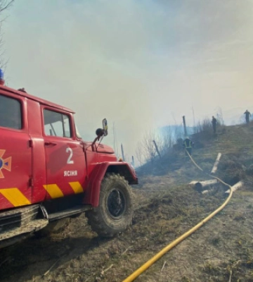 Пожежу у лісництві на Закарпатті ліквідували
