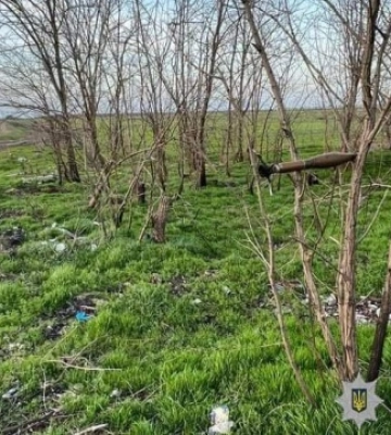 На Миколаївщині вибухотехніки знищили ворожу гранату, яка висіла на гілці