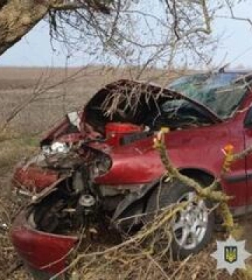 На Полтавщині легковик влетів у дерево: водій загинув
