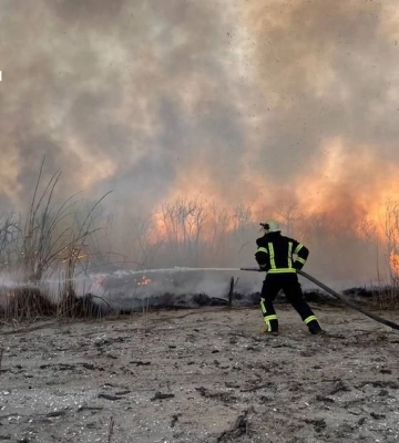 У плавневій зоні Дніпра надзвичайники ліквідували пожежу. Фото