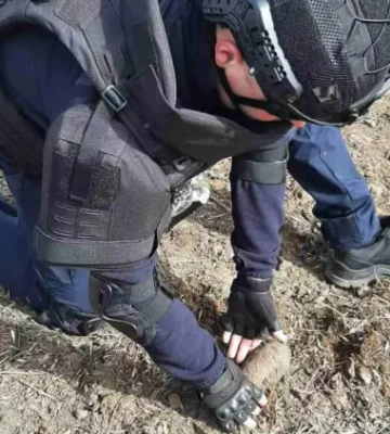 У Кропивницькому районі сапери знешкодили міну часів Другої світової