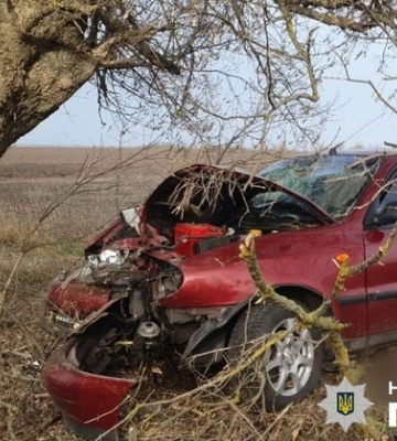 На Полтавщині легковик влетів у дерево: водій загинув