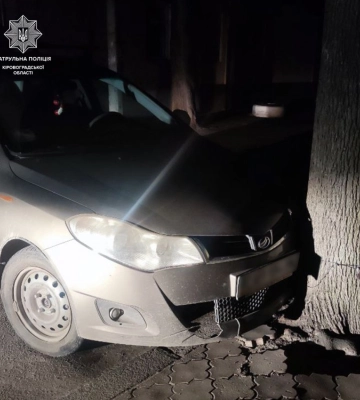 Ледве тримався на ногах: у Кропивницькому водій за кермом легковика врізався в дерево (ФОТО)