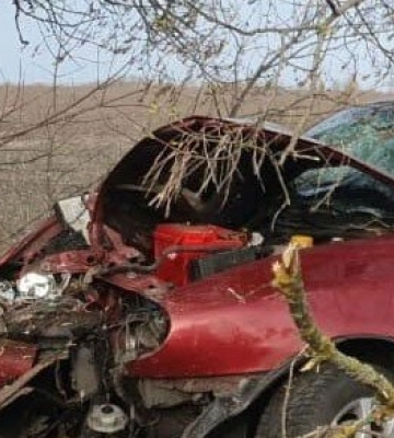 На Полтавщині легковик влетів у дерево: водій загинув