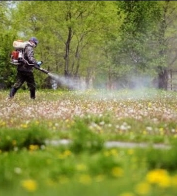 Від кліщів оброблятимуть чотири зелені зони Кропивницького